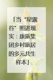 当“星露谷”照进现实：康旅集团乡村旅居的多元共生样本