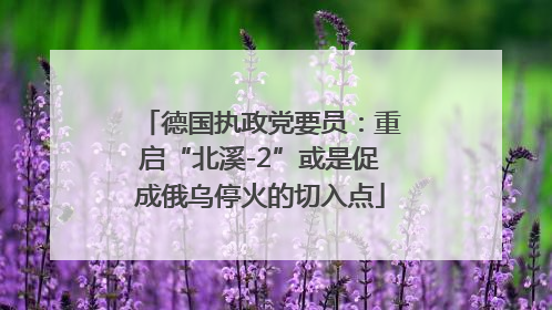 德国执政党要员：重启“北溪-2”或是促成俄乌停火的切入点