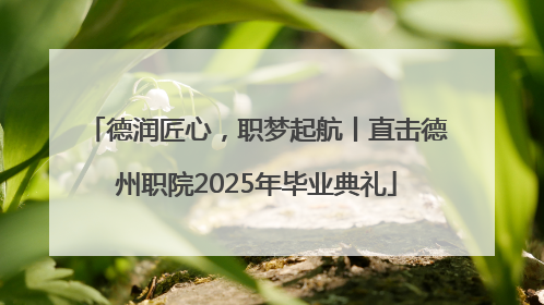 德润匠心，职梦起航丨直击德州职院2025年毕业典礼