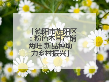 德阳市旌阳区：粉色木耳产销两旺 新品种助力乡村振兴