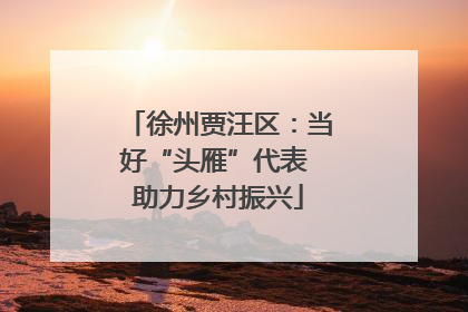 徐州贾汪区：当好“头雁”代表 助力乡村振兴