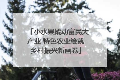 小水果撬动富民大产业 特色农业绘就乡村振兴新画卷