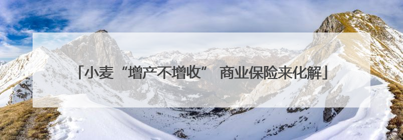 小麦“增产不增收” 商业保险来化解