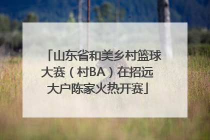 山东省和美乡村篮球大赛（村BA）在招远大户陈家火热开赛