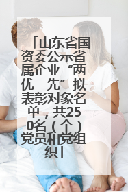 山东省国资委公示省属企业“两优一先”拟表彰对象名单，共250名（个）党员和党组织