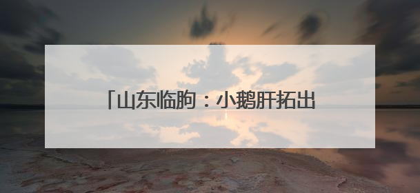 山东临朐：小鹅肝拓出产业富民“新赛道”