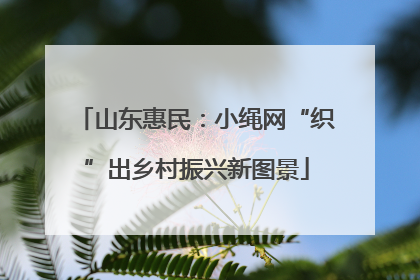 山东惠民：小绳网“织”出乡村振兴新图景