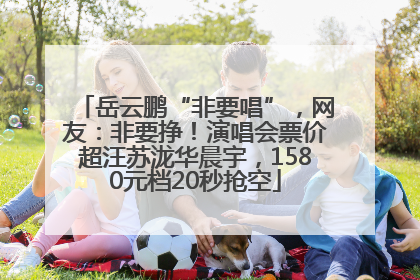 岳云鹏“非要唱”，网友：非要挣！演唱会票价超汪苏泷华晨宇，1580元档20秒抢空
