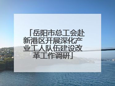 岳阳市总工会赴新港区开展深化产业工人队伍建设改革工作调研