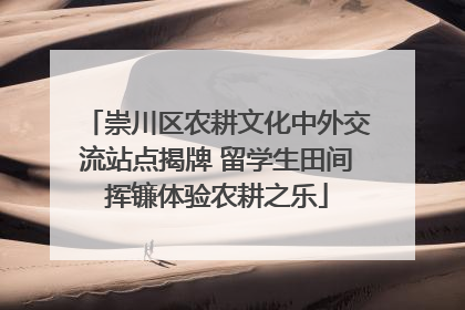 崇川区农耕文化中外交流站点揭牌 留学生田间挥镰体验农耕之乐