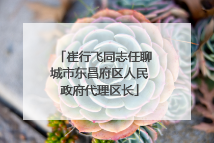 崔行飞同志任聊城市东昌府区人民政府代理区长