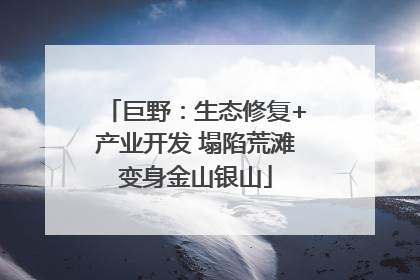 巨野：生态修复+产业开发 塌陷荒滩变身金山银山