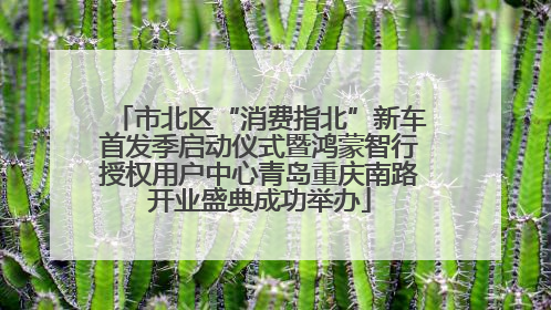 市北区“消费指北”新车首发季启动仪式暨鸿蒙智行授权用户中心青岛重庆南路开业盛典成功举办