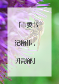 市委书记褚伟，升副部