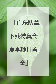 广东队拿下残特奥会夏季项目首金