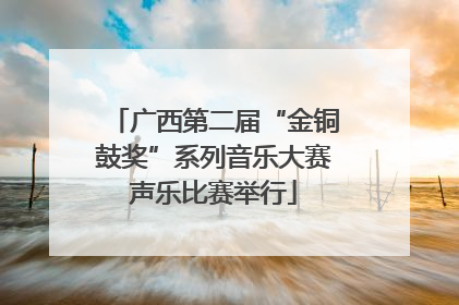 广西第二届“金铜鼓奖”系列音乐大赛声乐比赛举行