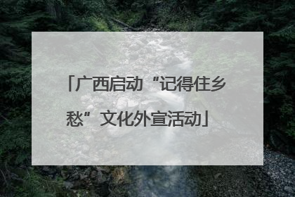 广西启动“记得住乡愁”文化外宣活动