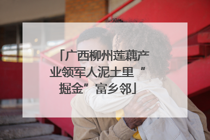 广西柳州莲藕产业领军人泥土里“掘金”富乡邻