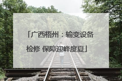 广西梧州：输变设备检修 保障迎峰度夏