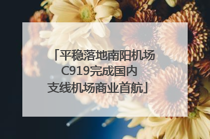 平稳落地南阳机场 C919完成国内支线机场商业首航