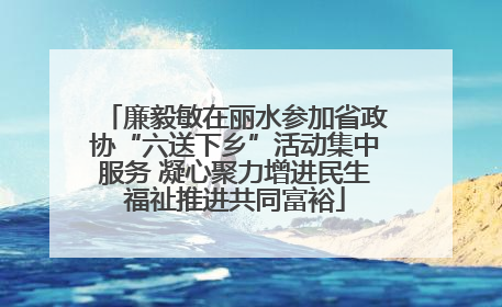 廉毅敏在丽水参加省政协“六送下乡”活动集中服务 凝心聚力增进民生福祉推进共同富裕