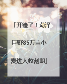 开镰了！菏泽巨野85万亩小麦进入收割期