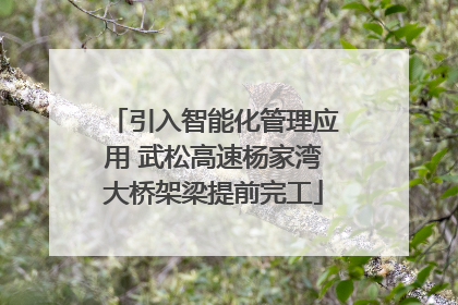 引入智能化管理应用 武松高速杨家湾大桥架梁提前完工