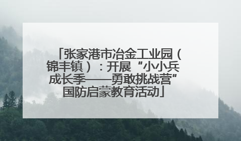 张家港市冶金工业园（锦丰镇）：开展“小小兵成长季——勇敢挑战营”国防启蒙教育活动