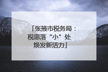 张掖市税务局：税惠落“小”处 焕发新活力