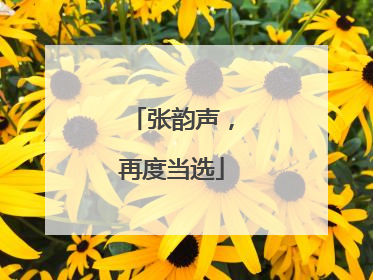 张韵声，再度当选