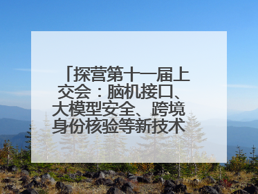探营第十一届上交会：脑机接口、大模型安全、跨境身份核验等新技术将悉数亮相