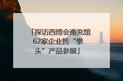 探访西博会南充馆 62家企业携“拳头”产品参展