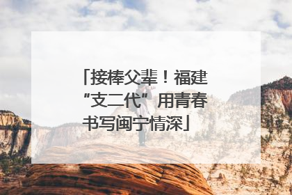 接棒父辈！福建“支二代”用青春书写闽宁情深