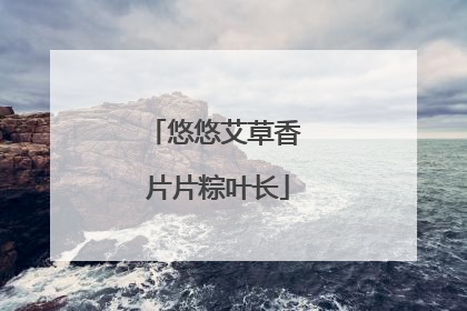 悠悠艾草香 片片粽叶长