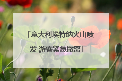 意大利埃特纳火山喷发 游客紧急撤离