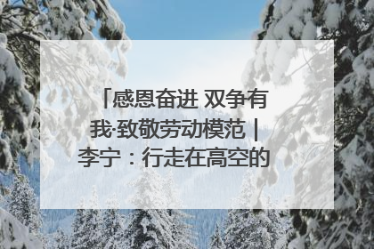 感恩奋进 双争有我·致敬劳动模范｜李宁：行走在高空的“电网卫士”