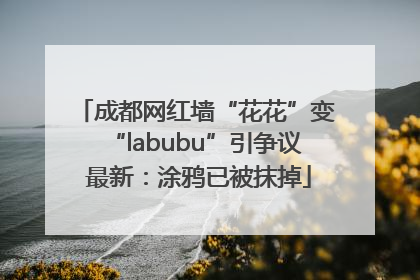 成都网红墙“花花”变“labubu”引争议 最新：涂鸦已被抹掉