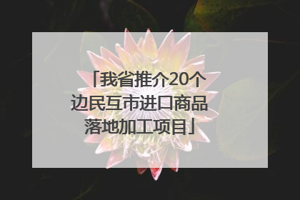 我省推介20个边民互市进口商品落地加工项目