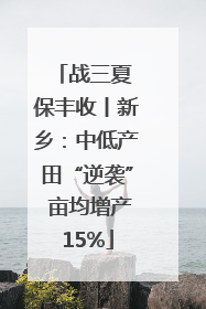 战三夏 保丰收丨新乡：中低产田“逆袭” 亩均增产15%