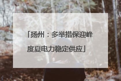 扬州：多举措保迎峰度夏电力稳定供应