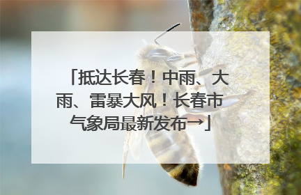 抵达长春！中雨、大雨、雷暴大风！长春市气象局最新发布→