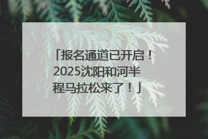 报名通道已开启！2025沈阳和河半程马拉松来了！