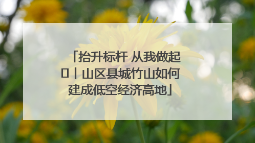 抬升标杆 从我做起⑭丨山区县城竹山如何建成低空经济高地