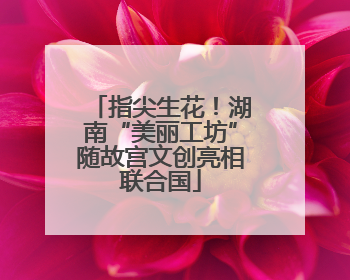 指尖生花！湖南“美丽工坊”随故宫文创亮相联合国