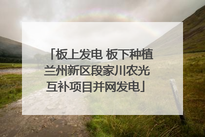 板上发电 板下种植 兰州新区段家川农光互补项目并网发电