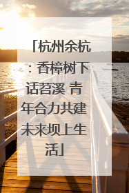 杭州余杭：香樟树下话苕溪 青年合力共建未来坝上生活