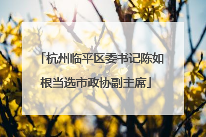 杭州临平区委书记陈如根当选市政协副主席