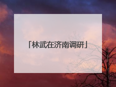 林武在济南调研