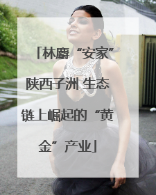 林麝“安家”陕西子洲 生态链上崛起的“黄金”产业