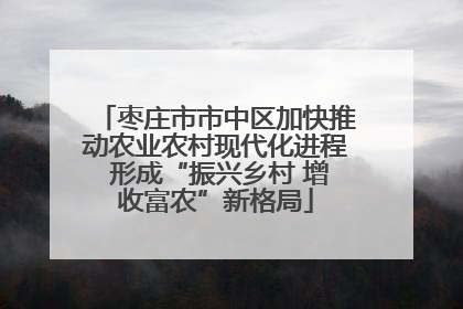 枣庄市市中区加快推动农业农村现代化进程 形成“振兴乡村 增收富农”新格局